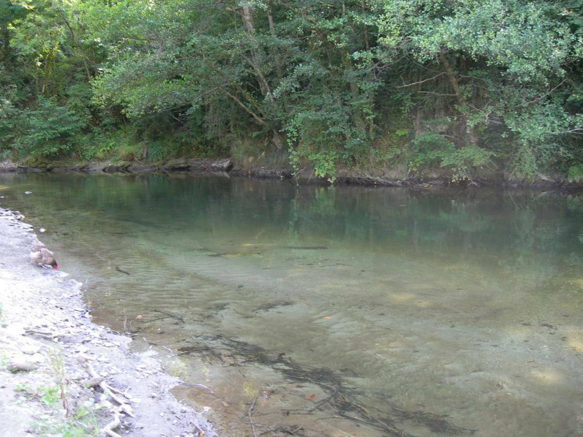 Appartement Les Rives De L'Ariege Luzenac Zewnętrze zdjęcie
