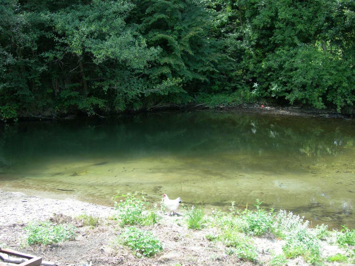 Appartement Les Rives De L'Ariege Luzenac Zewnętrze zdjęcie